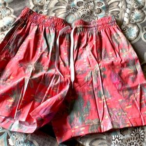 Chubbies swim trunks